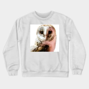 Barn Owl in Colour Crewneck Sweatshirt